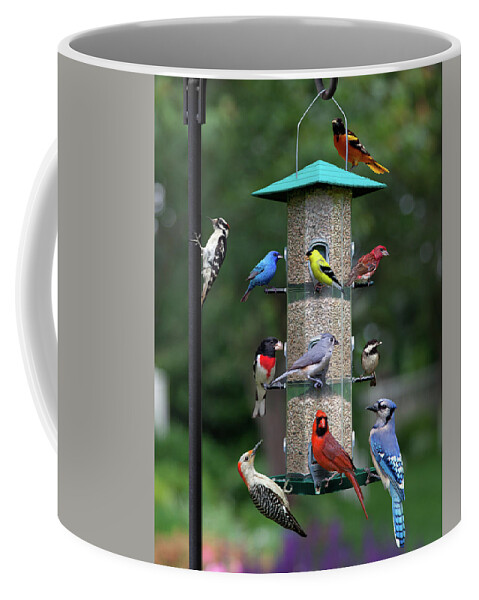 Birds Coffee Mug featuring the photograph Backyard Bird Feeder by Larry Landolfi