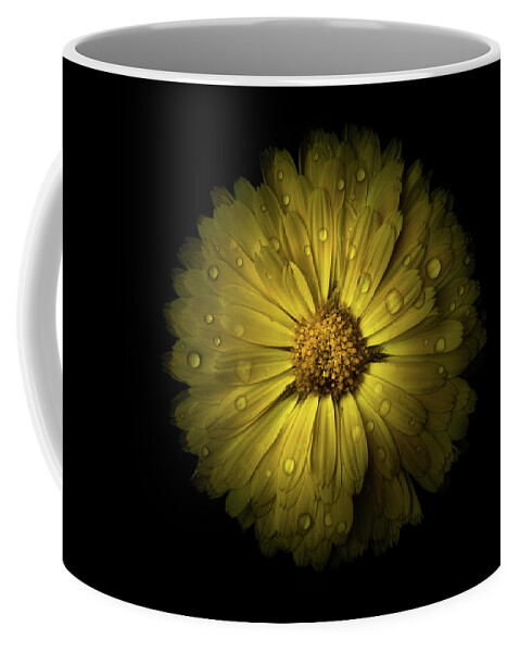 Brian Carson Coffee Mug featuring the photograph Backyard Flowers 10 Color Version by Brian Carson