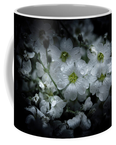 Brian Carson Coffee Mug featuring the photograph Backyard Flowers 51 Color Version by Brian Carson