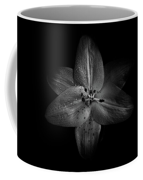 Brian Carson Coffee Mug featuring the photograph Backyard Flowers In Black And White 28 by Brian Carson
