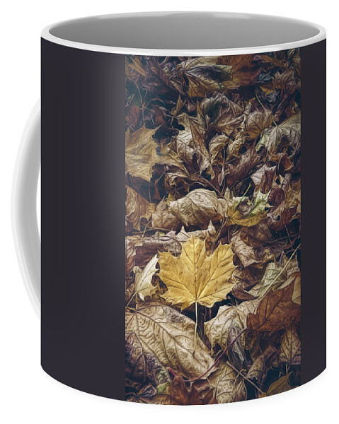 Scott Norris Photography Coffee Mug featuring the photograph Backyard Leaves by Scott Norris