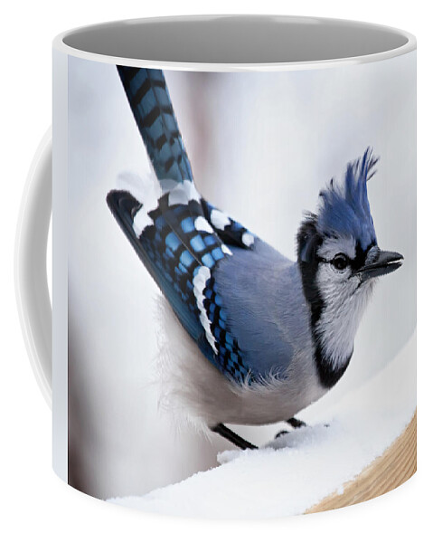 Blue Jay' Coffee Mug featuring the photograph Bad feather day by Al Mueller