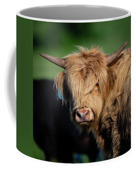 Lyon County Coffee Mug featuring the photograph Bad Hair Day by Jeff Phillippi