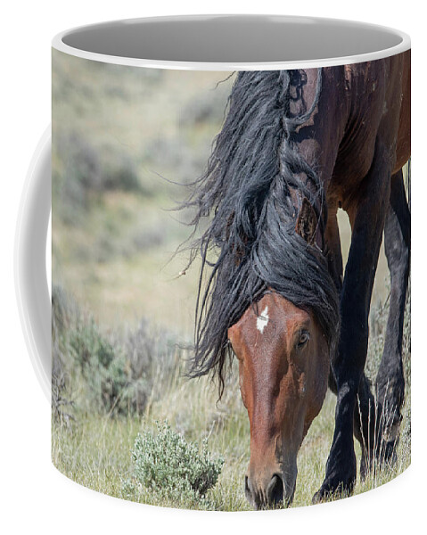 Mustang Coffee Mug featuring the photograph On the Prowl by Ronnie And Frances Howard
