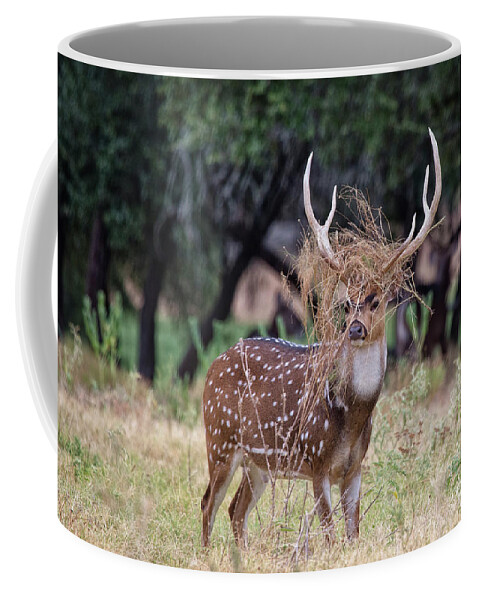Deer Coffee Mug featuring the photograph Bad Hair Day V10 by Douglas Barnard