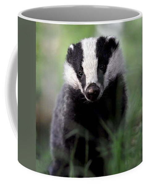 Badger Coffee Mug featuring the photograph Badger by Macrae Images