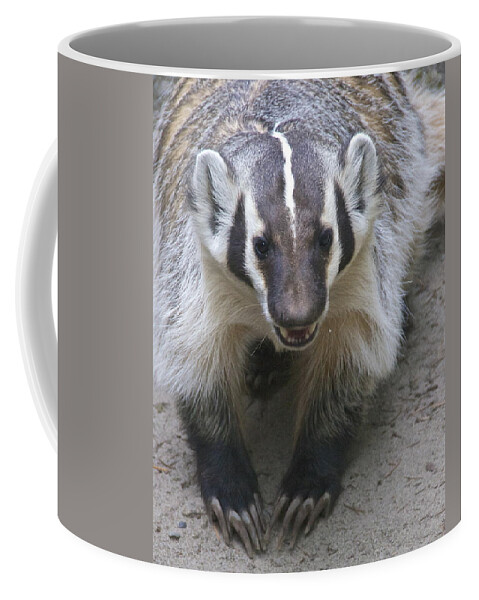 Photography Coffee Mug featuring the photograph Badgered Badger by Sean Griffin