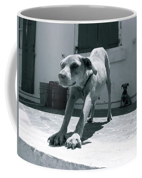 Dog Coffee Mug featuring the photograph Bahamas Dog by Becqi Sherman