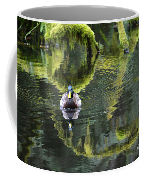 Duck Coffee Mug featuring the photograph Bainbridge Duck by Bob Senesac