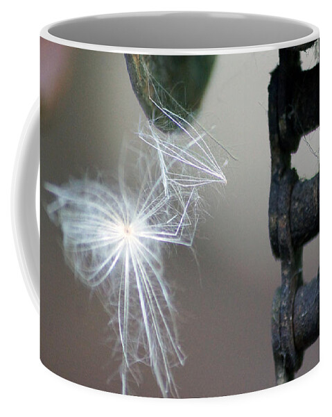 Feather Coffee Mug featuring the photograph Balance, Feather and iron chain in the wind by Eva-Maria Di Bella