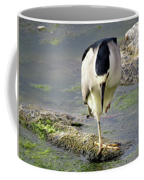 Birds Coffee Mug featuring the photograph Balance by Linda Stern