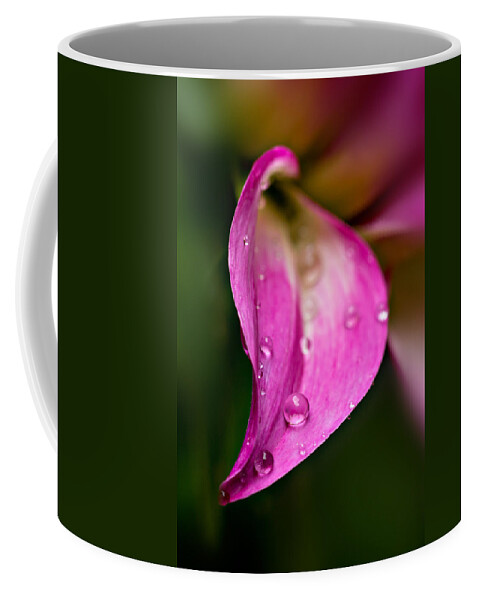 Floral Coffee Mug featuring the photograph Balancing Act by Mary Jo Allen
