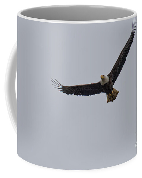 Bald Eagle Coffee Mug featuring the photograph Bald Eagle by David Arment