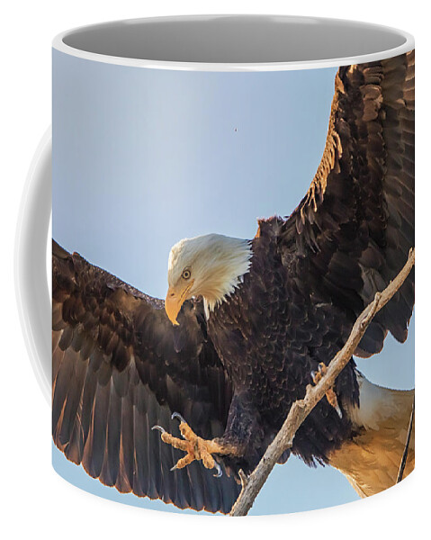 California Coffee Mug featuring the photograph Bald Eagle Landing by Marc Crumpler