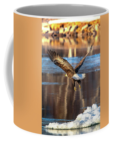 Bald Eagle Coffee Mug featuring the photograph Bald Eagle Taking Flight -5191 by Norris Seward