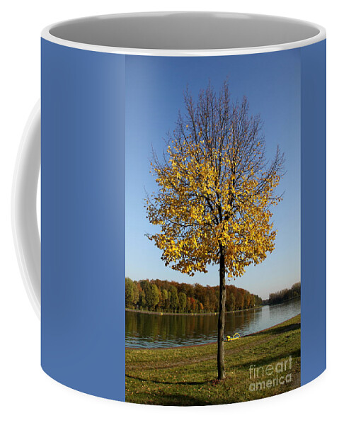 Tree Coffee Mug featuring the photograph Balding Tree by Christiane Schulze Art And Photography