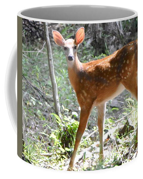 Faunagraphs Coffee Mug featuring the photograph Bambi1 by Torie Tiffany