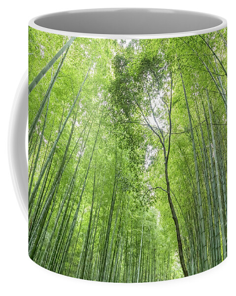 Nature Coffee Mug featuring the photograph Bamboo forest in Kyoto, Japan by Julia Hiebaum
