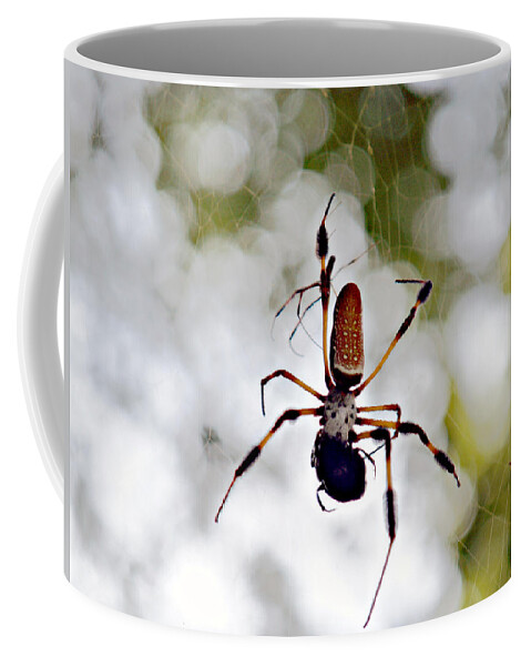 Arachnid Coffee Mug featuring the photograph Banana Spider Lunch Time 2 by Bob Johnson