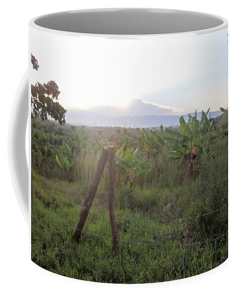 Africa Coffee Mug featuring the photograph Banana trees in Uganda, Africa by Karen Foley