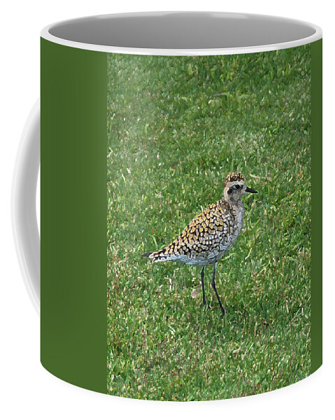 Bird Coffee Mug featuring the photograph Bandit by Carol Eliassen
