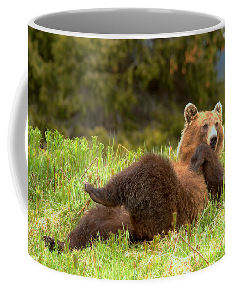 Grizzly Coffee Mug featuring the photograph Banff Showboating Grizzly by Adam Jewell