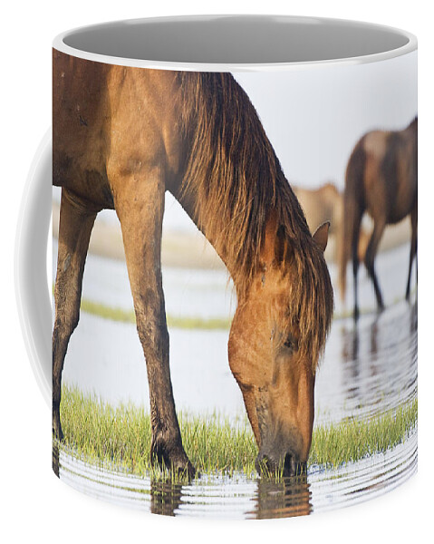 Wild Coffee Mug featuring the photograph Banker Horses on Tidal Flat by Bob Decker
