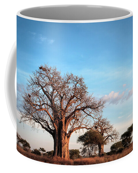 Africa Coffee Mug featuring the photograph Baobab Evening by Mary Lee Dereske