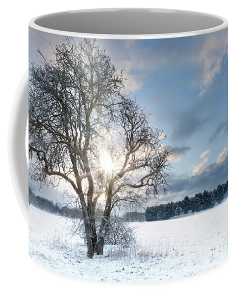 Snow Coffee Mug featuring the photograph Bare tree in a snow field with early sunrise by Simon Bratt