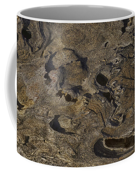 Bark Coffee Mug featuring the photograph Bark Up Close by Sandra Selle Rodriguez