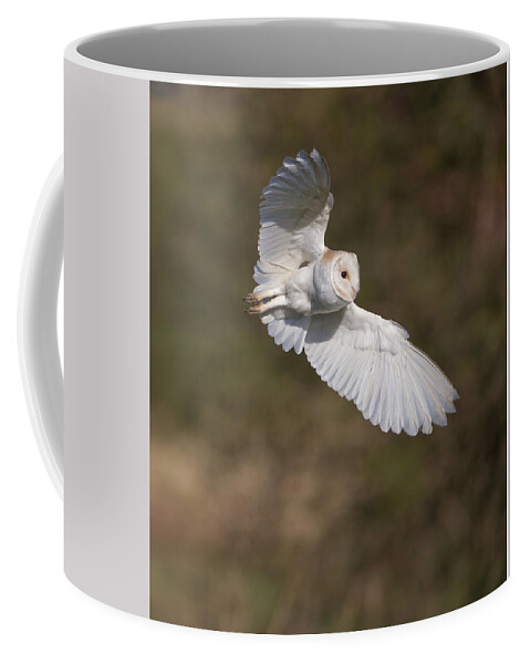 Barn Owl Coffee Mug featuring the photograph Barn Owl Wings by Pete Walkden