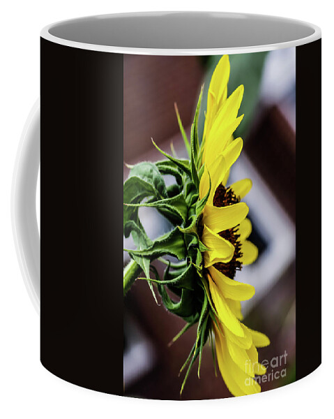 Sunflower Coffee Mug featuring the photograph Barn Sunrise by Gerald Kloss