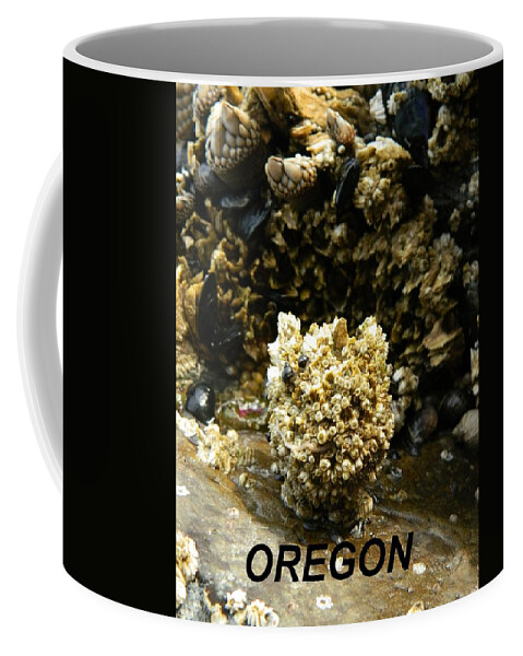 Worms Coffee Mug featuring the photograph Barnacle With Worm by Gallery Of Hope 