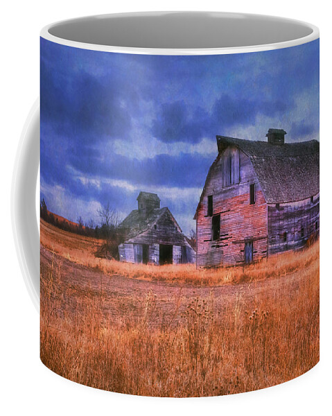 Barn Coffee Mug featuring the photograph Barns Brothers by Anna Louise