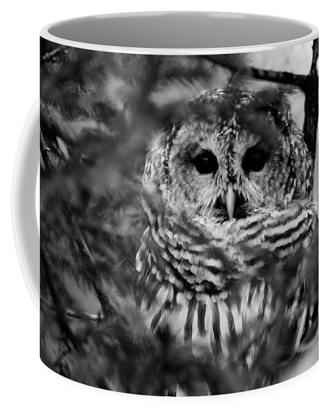 Barred Owl In Thought Coffee Mug featuring the photograph Barred Owl in Black and White by Tracy Winter