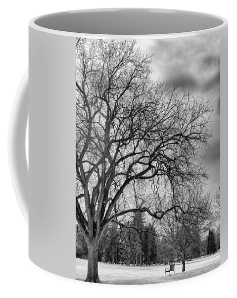 Landscape Coffee Mug featuring the photograph Winter in Cheesman Park, Denver, CO empty trees and empty benches by Philip Rodgers