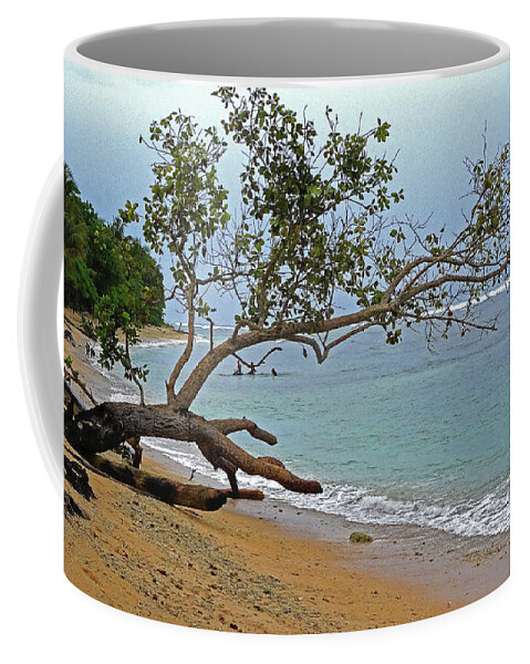 Beach Coffee Mug featuring the photograph Base G in Jayapura by Eunice Warfel