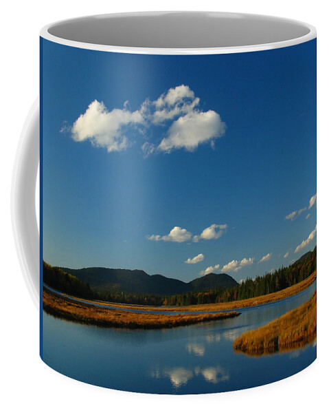 Landscape Coffee Mug featuring the photograph Bass Harbor Marsh by Juergen Roth