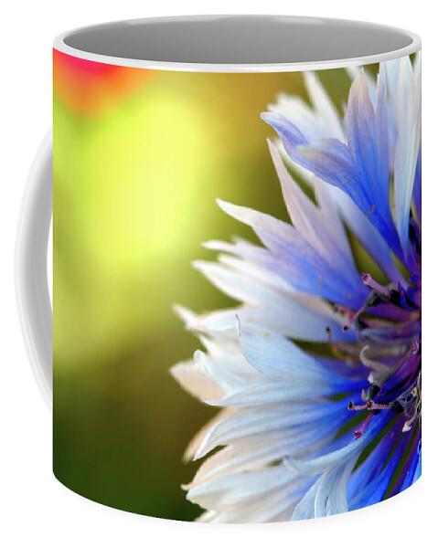 Macro.flower Coffee Mug featuring the photograph Batchelors Blue and white button by Baggieoldboy