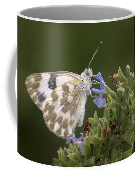 Butterfly Coffee Mug featuring the photograph Bath White by Meir Ezrachi