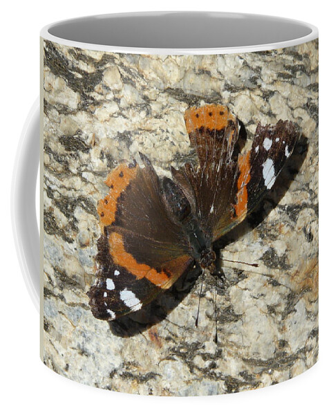 Butterfly Coffee Mug featuring the photograph Battered Butterfly by Valerie Ornstein