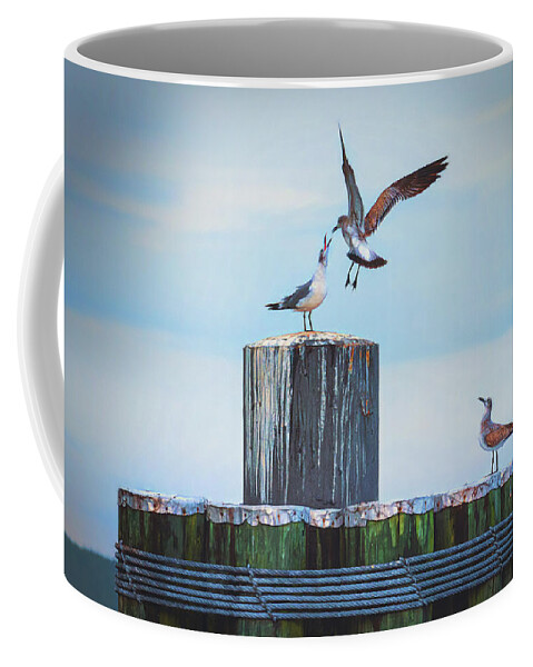 Photograph Coffee Mug featuring the photograph Battle of the Gulls by Cindy Lark Hartman