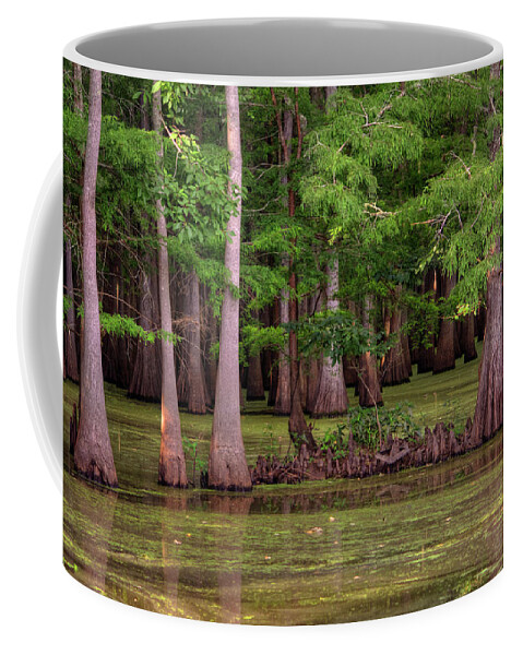 Bayou Coffee Mug featuring the photograph Bayou At Dusk by Ester McGuire