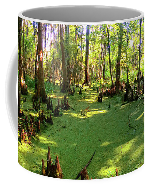 Bayous Coffee Mug featuring the photograph Bayou Country by CHAZ Daugherty