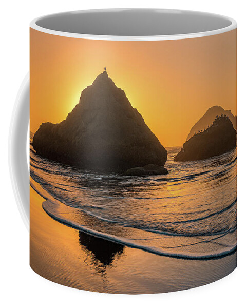 Beach Coffee Mug featuring the photograph Be your own bird by Darren White