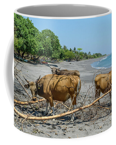 Landscape Coffee Mug featuring the photograph Beach at Liquica by Werner Padarin