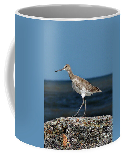  Coffee Mug featuring the photograph Beach Bird by Skip Willits