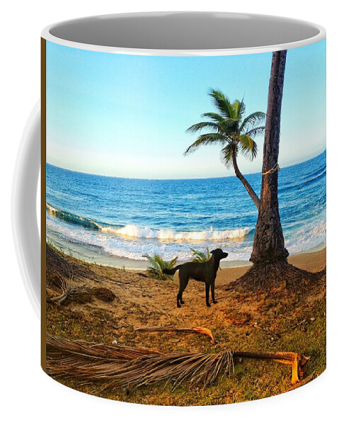 Dog Coffee Mug featuring the photograph Beach Dog by Joseph Caban