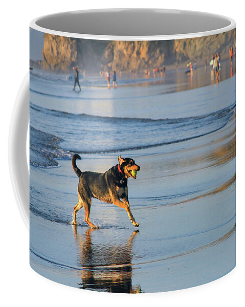 Bonnie Follett Coffee Mug featuring the photograph Beach Dog Playing Fetch by Bonnie Follett
