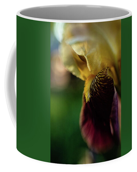  Iris Coffee Mug featuring the photograph Bearded Iris by Pamela Taylor